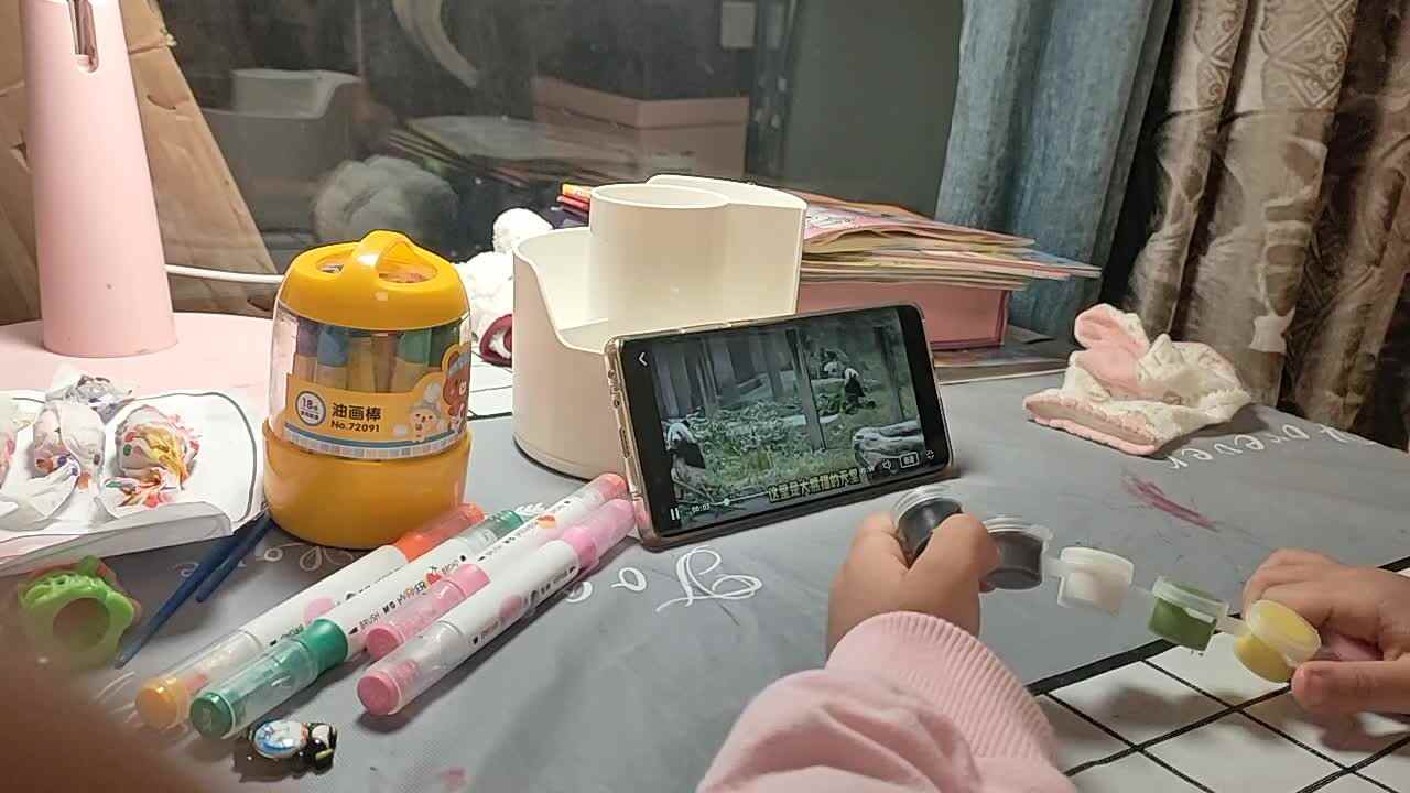 20241025陈灵兮闯关练习观看视频《重庆动物园》