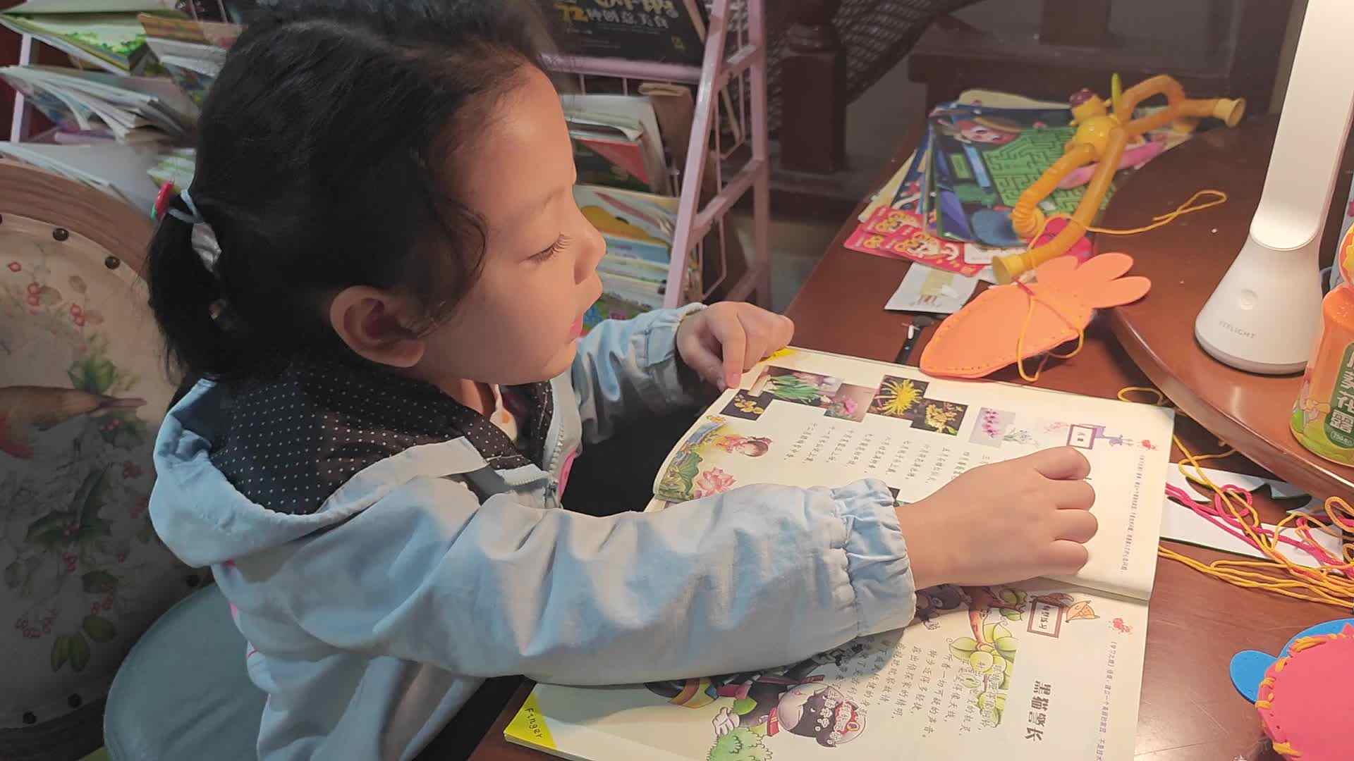 VID_20241017_194722.mp4