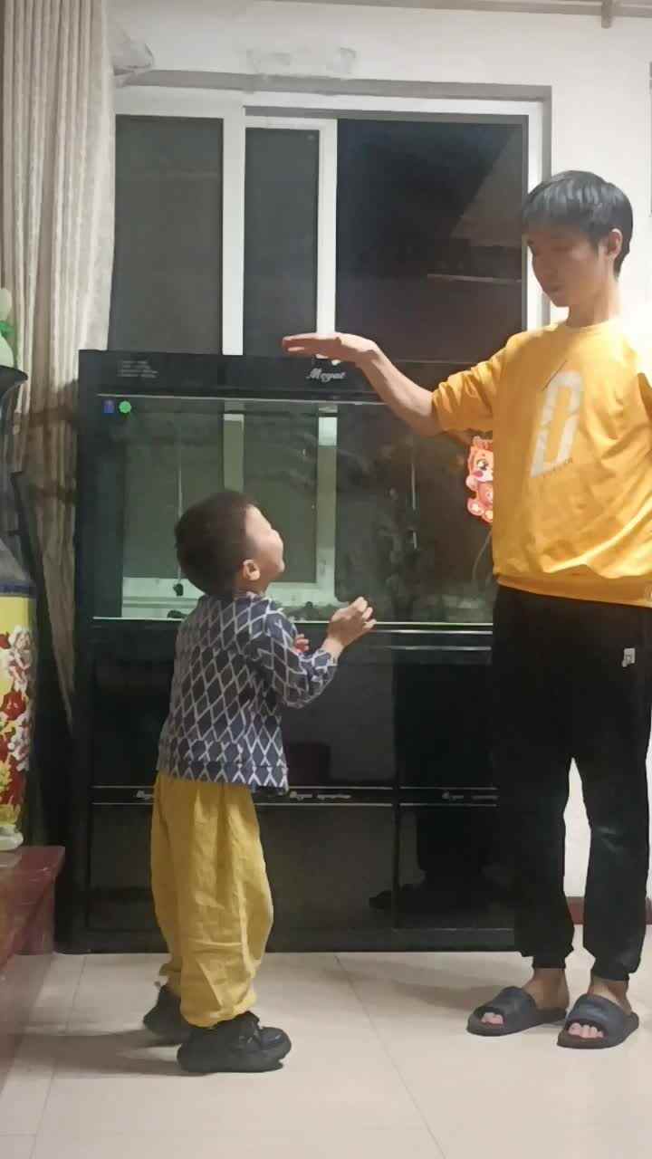 video_20241009_212209.mp4