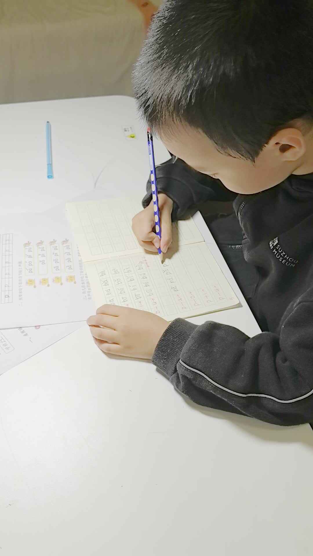 VID_20241012_205817.mp4