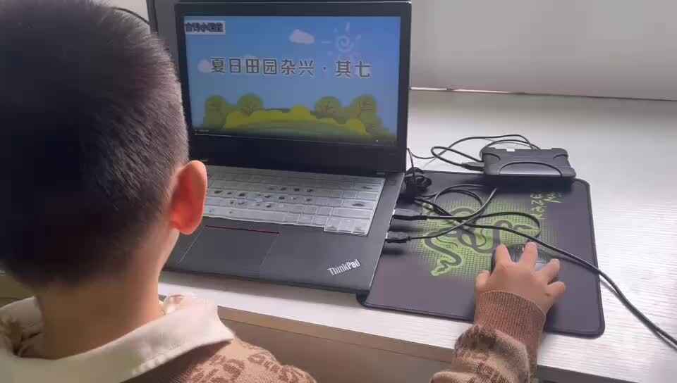 20241013大B班李锦城观看视频夏日田园杂兴