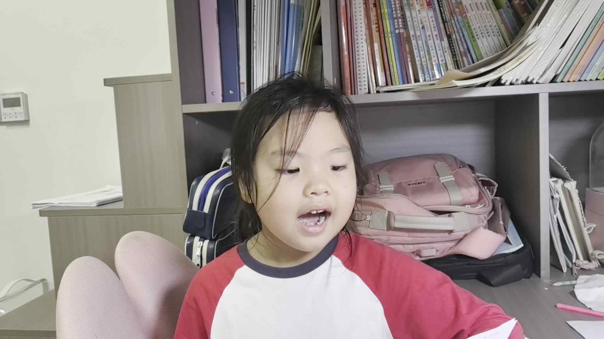 单数、双数