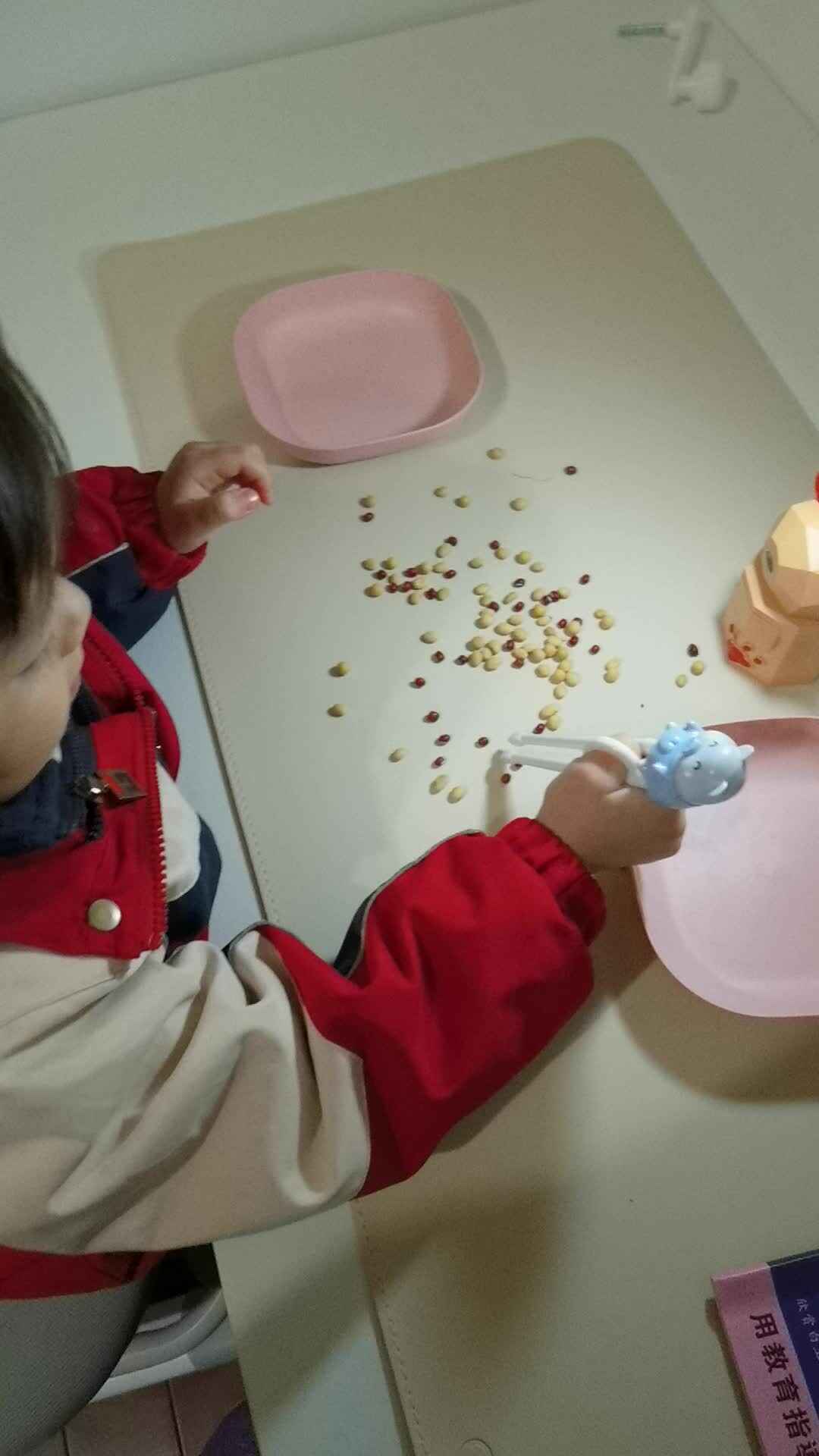夹豆子训练