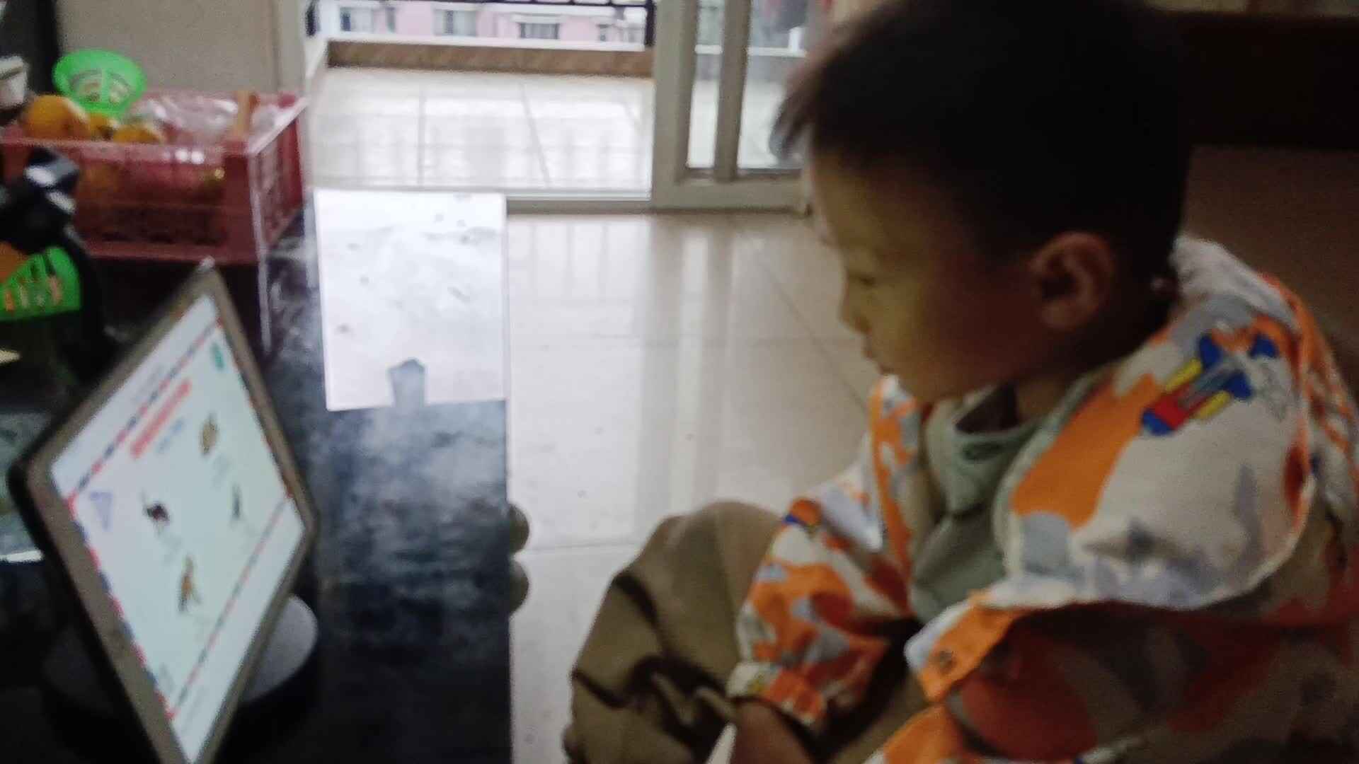 video_20241103_164600.mp4