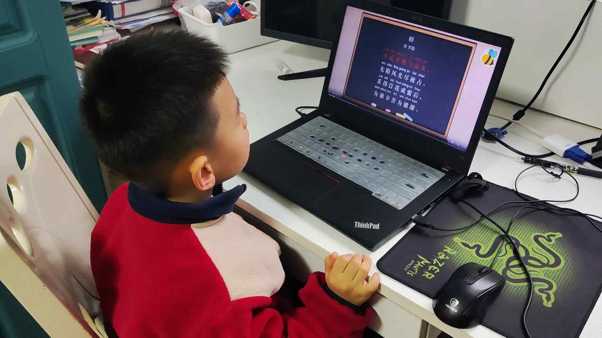 20241124大B班李锦城观看古诗蜂