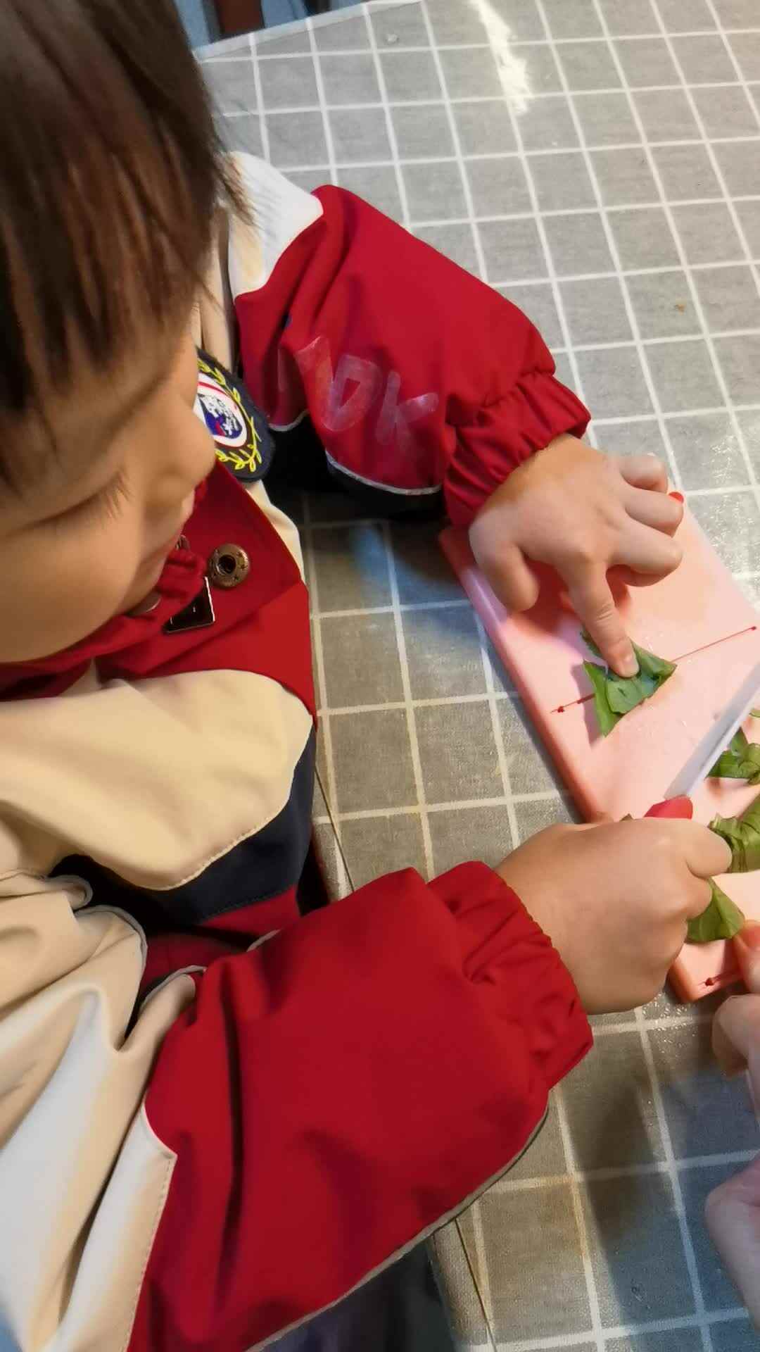 练习切菜