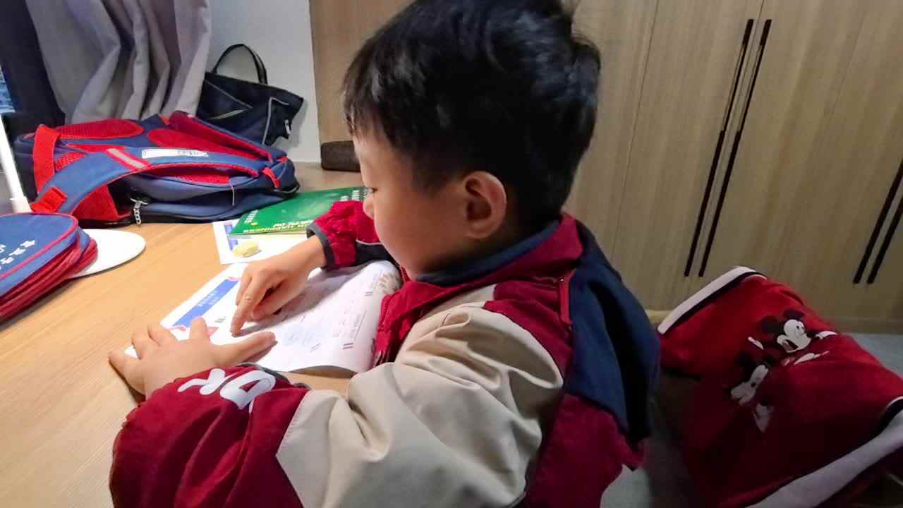 2024年11月25日家庭作业.mp4