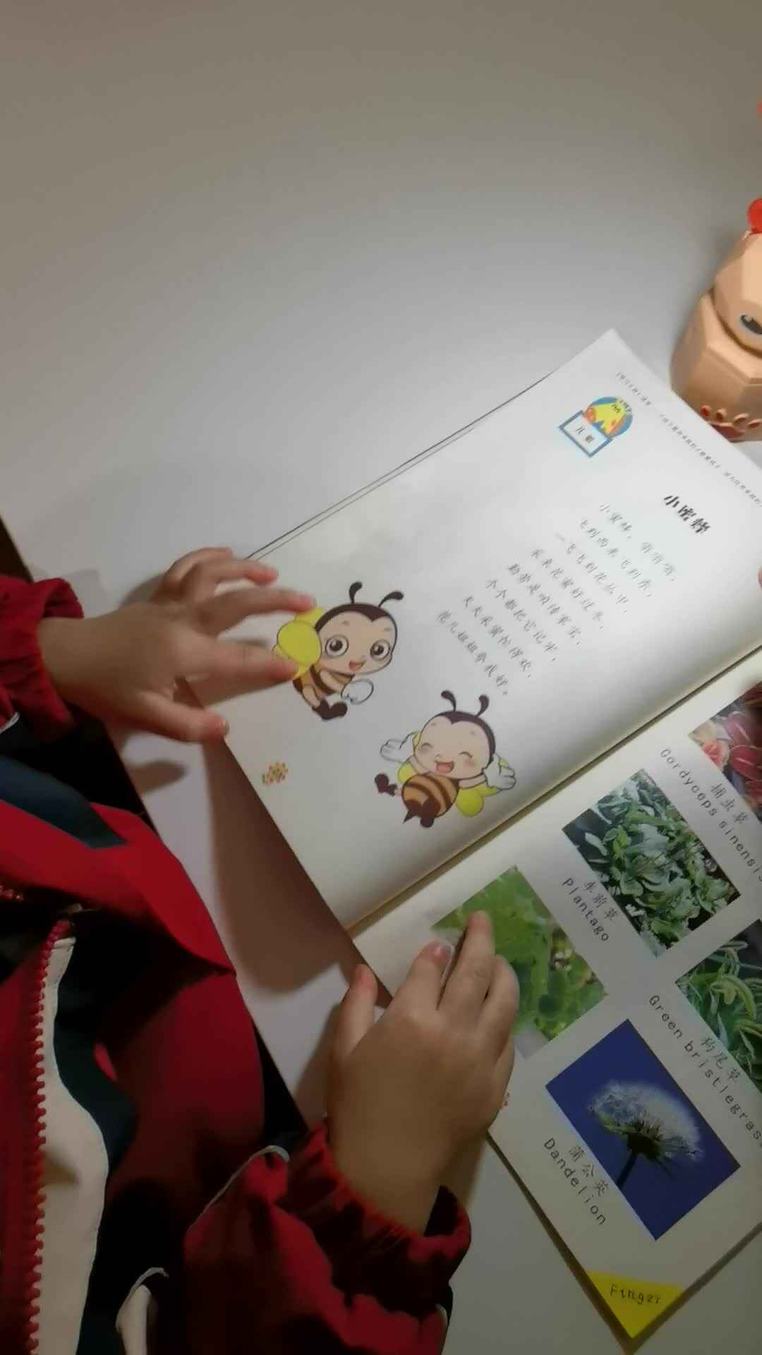 指读《小蜜蜂》