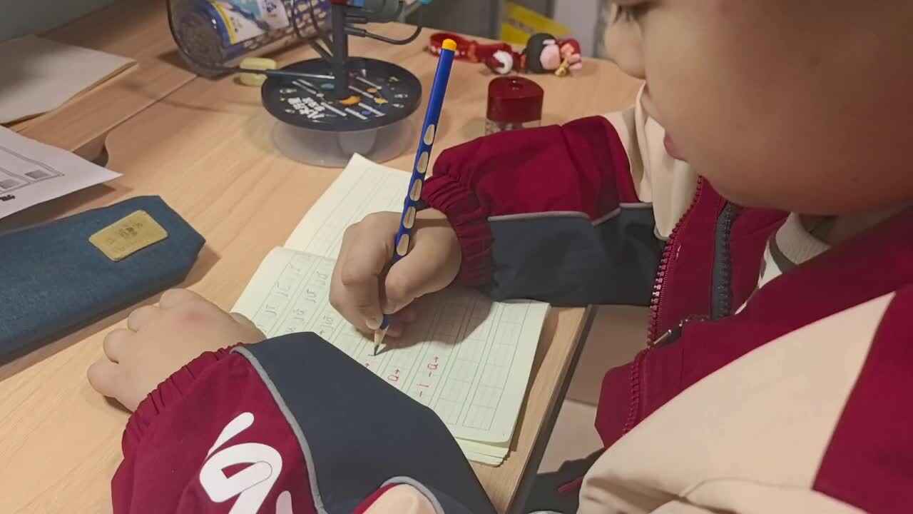 学A班兰梓瀚拼音书写.mp4