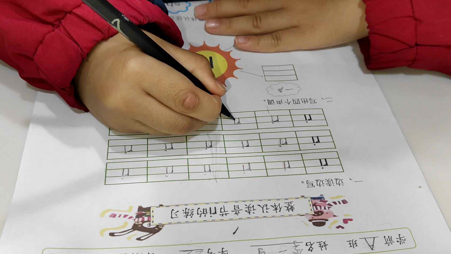 video_20241118_200033.mp4