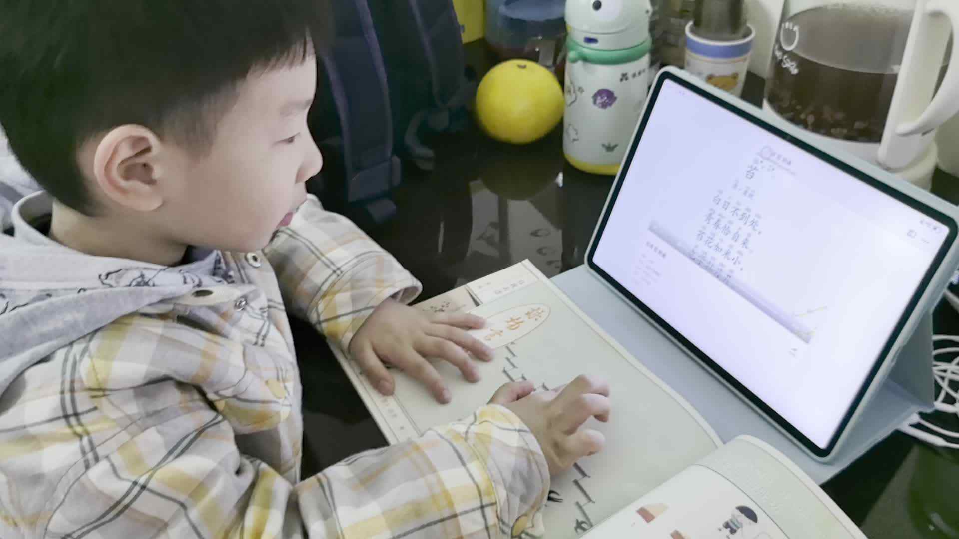 中A班陈栎安指读《苔》.mp4