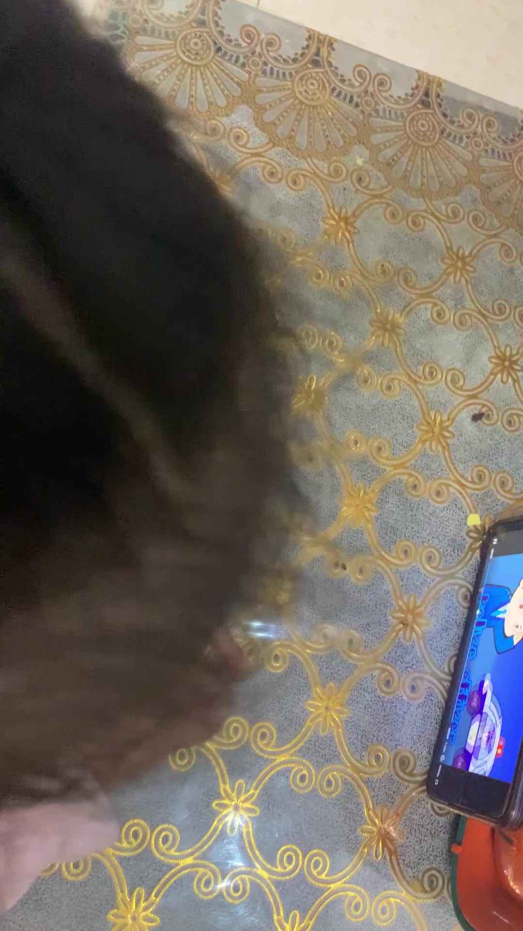 听英语儿歌