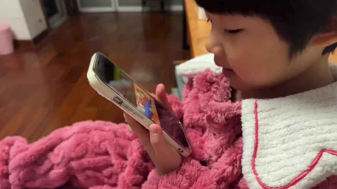 看英语视频
