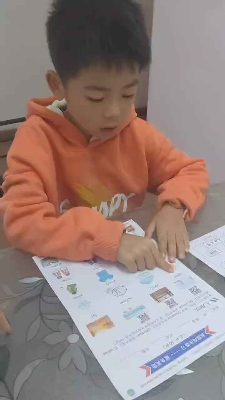 实验学前1班文浚棵2024.11.8