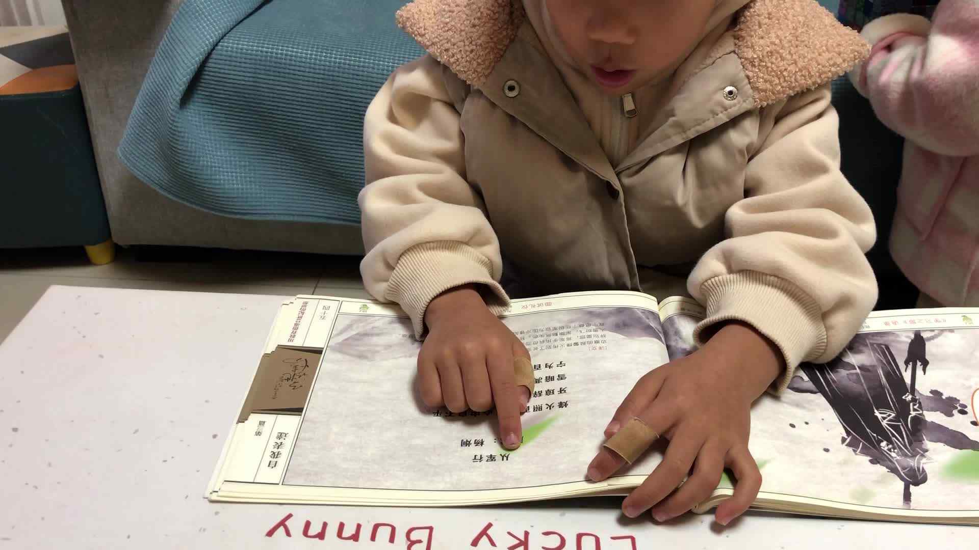 古诗：从军行