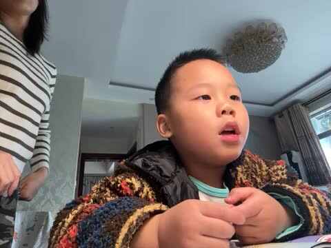 凉州词二首其一20241110