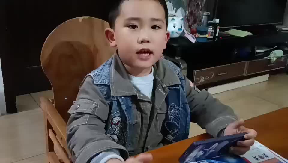 20241103大B班赵芃栎观看古诗视频《望岳》