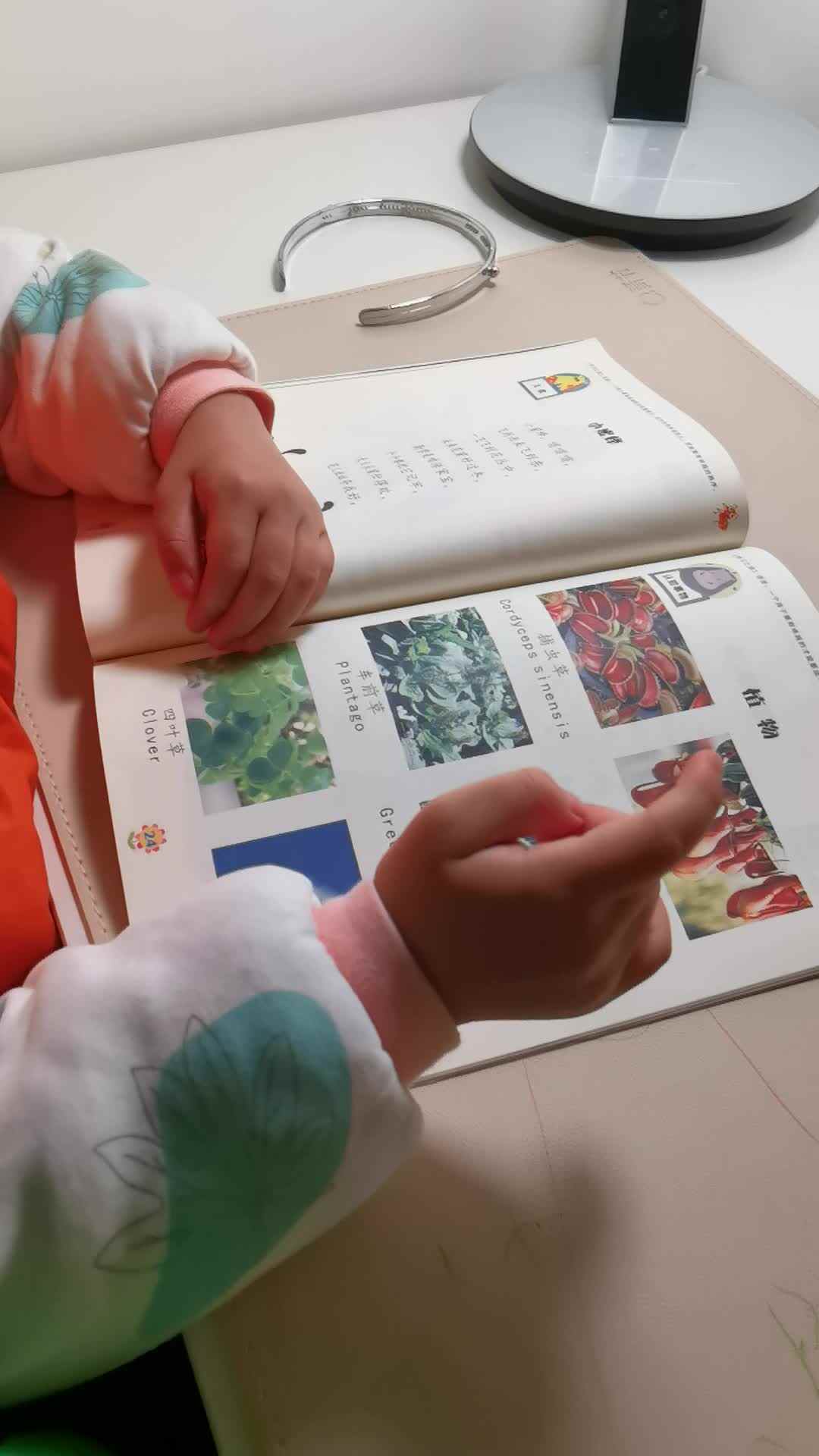 指读《植物》