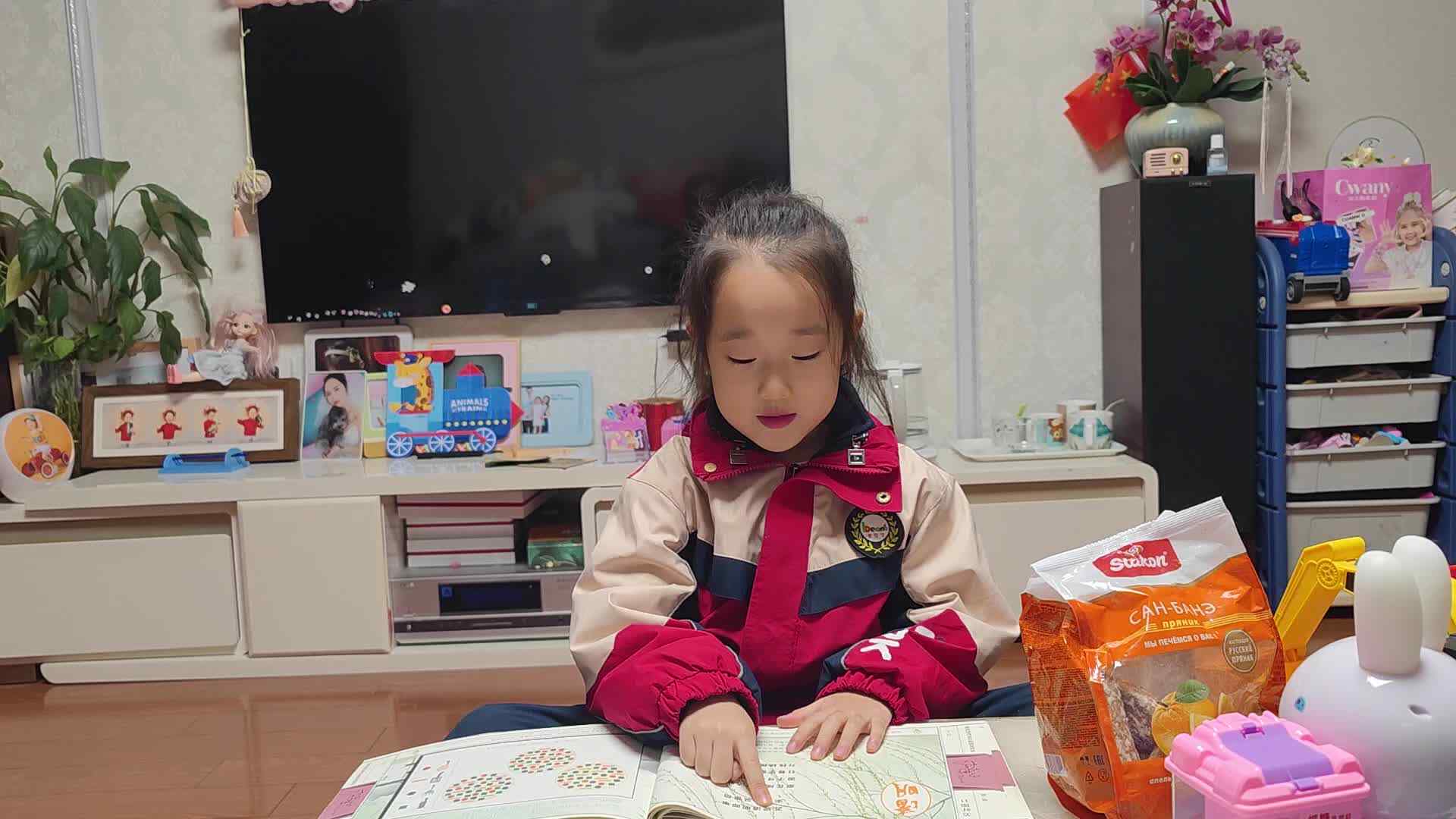 学B班朱佳柠20241126