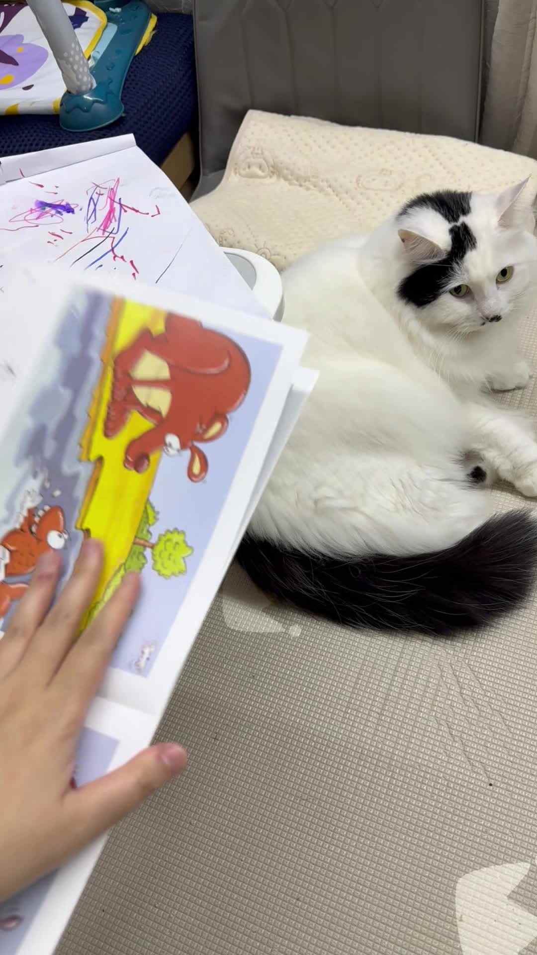 20241128实验小班刘雍洛指读