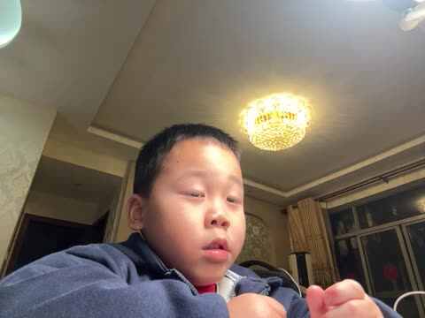 故事视频20241130