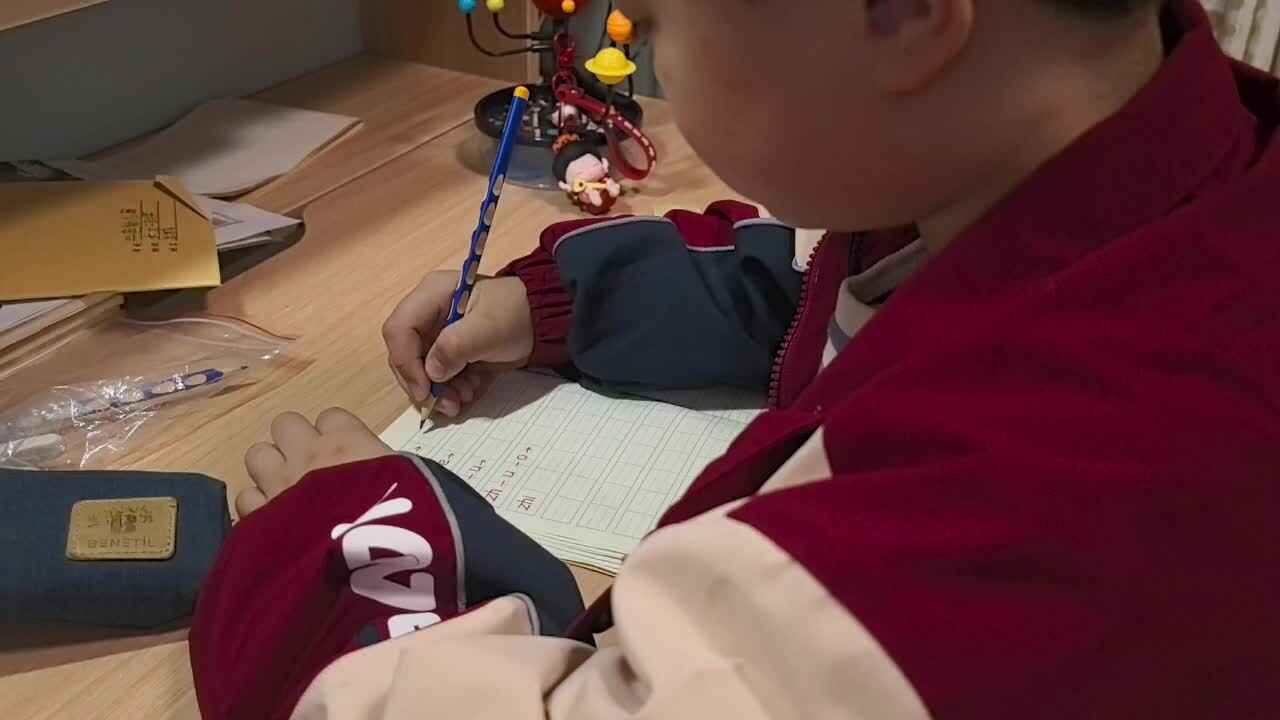 兰梓瀚拼音书写.mp4
