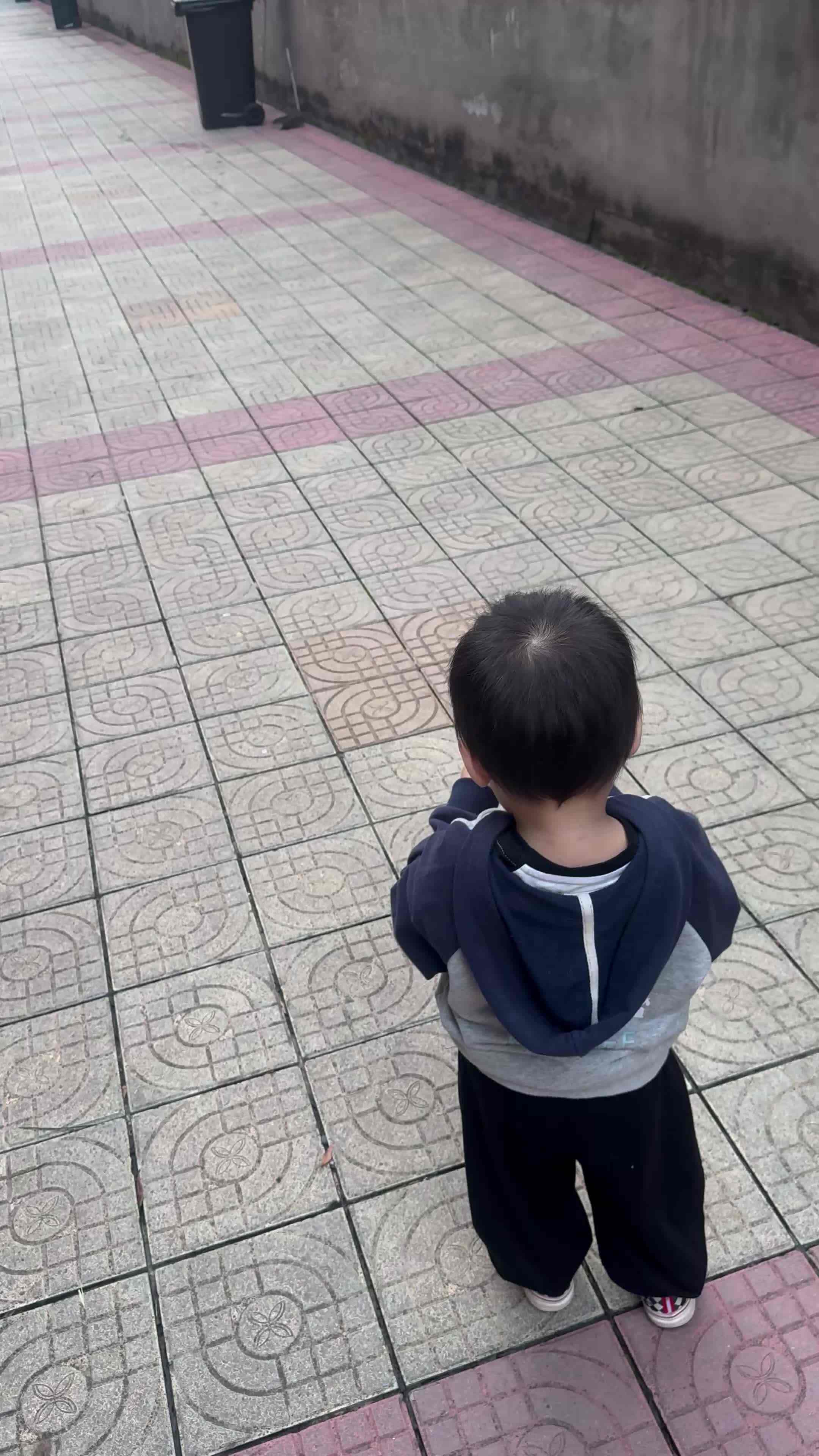 20241101实验小班刘雍洛运动