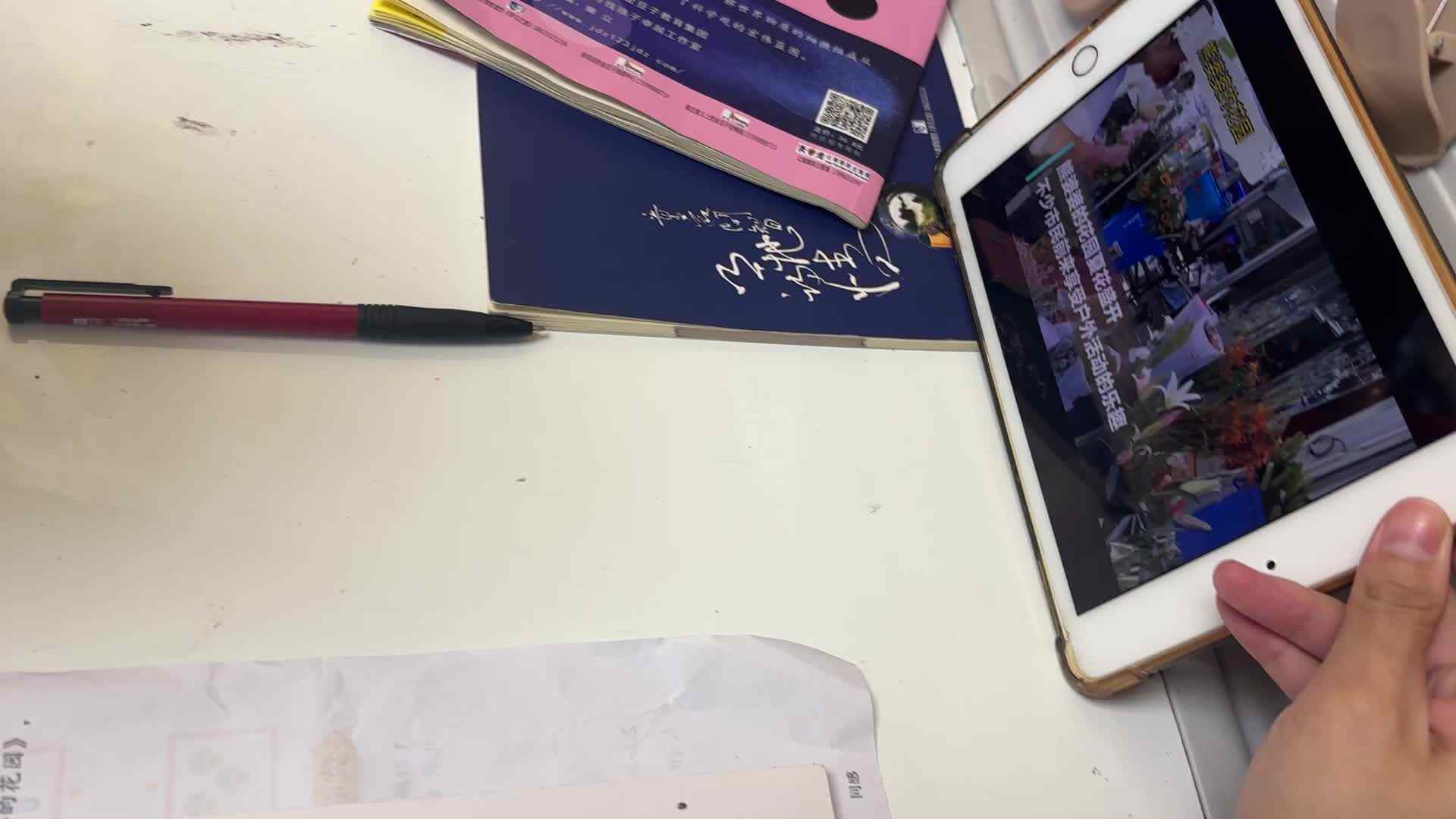 熊婆婆的花园