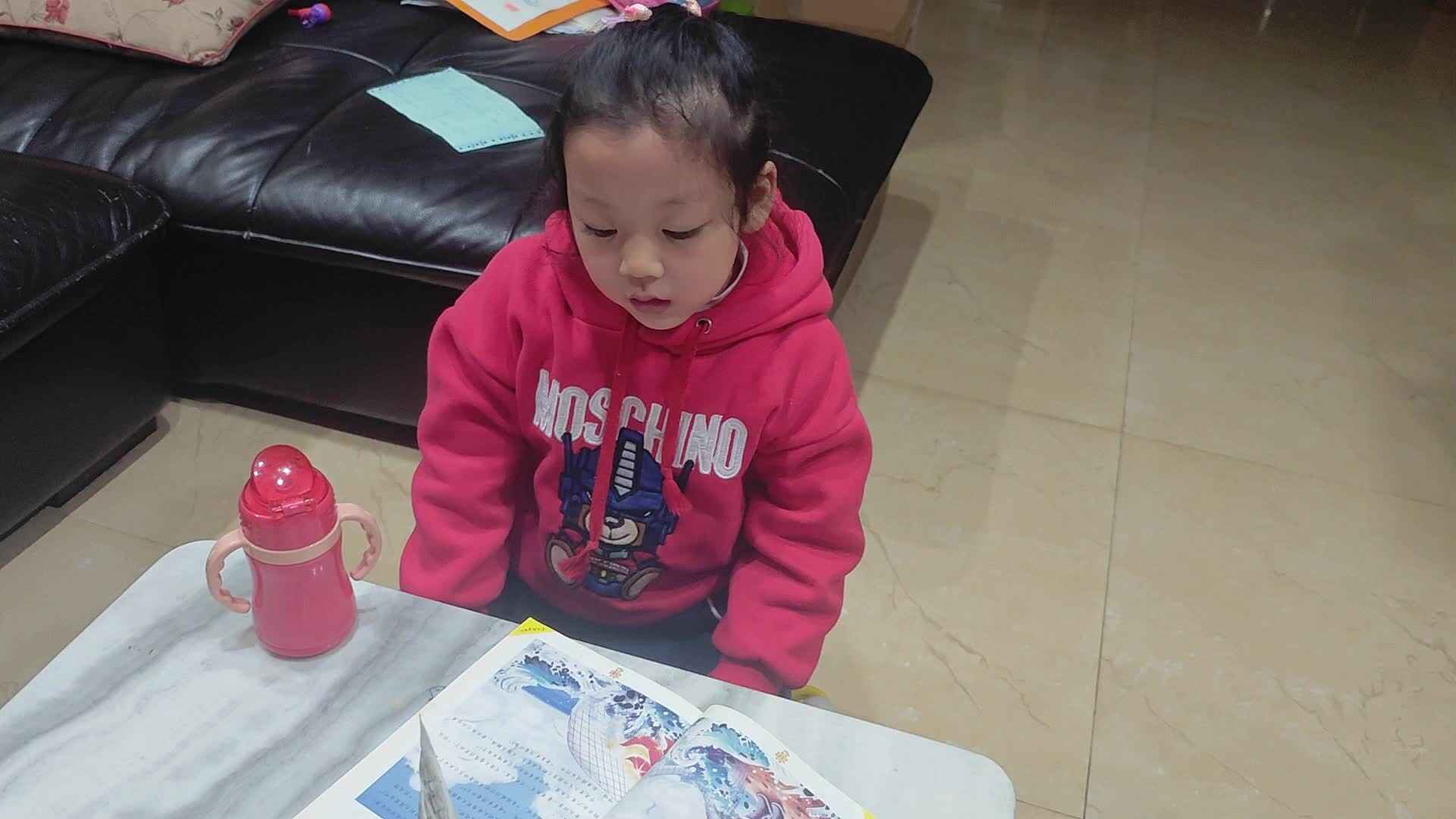 VID_20241121_201847.mp4