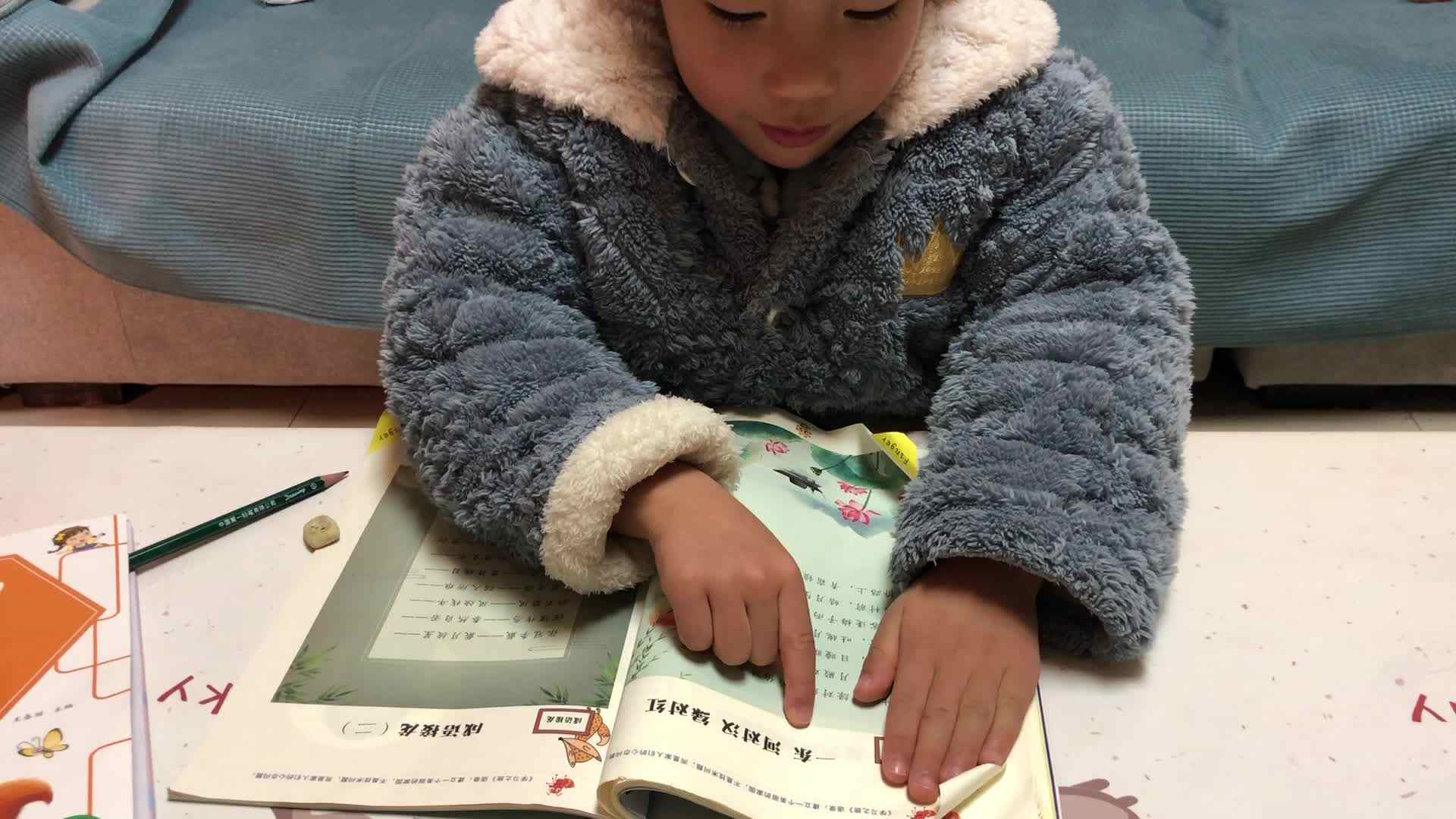 语言