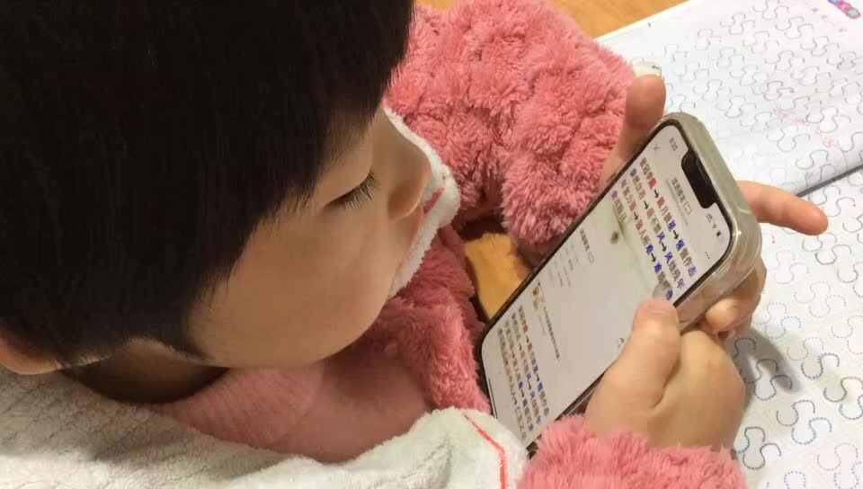 成语接龙