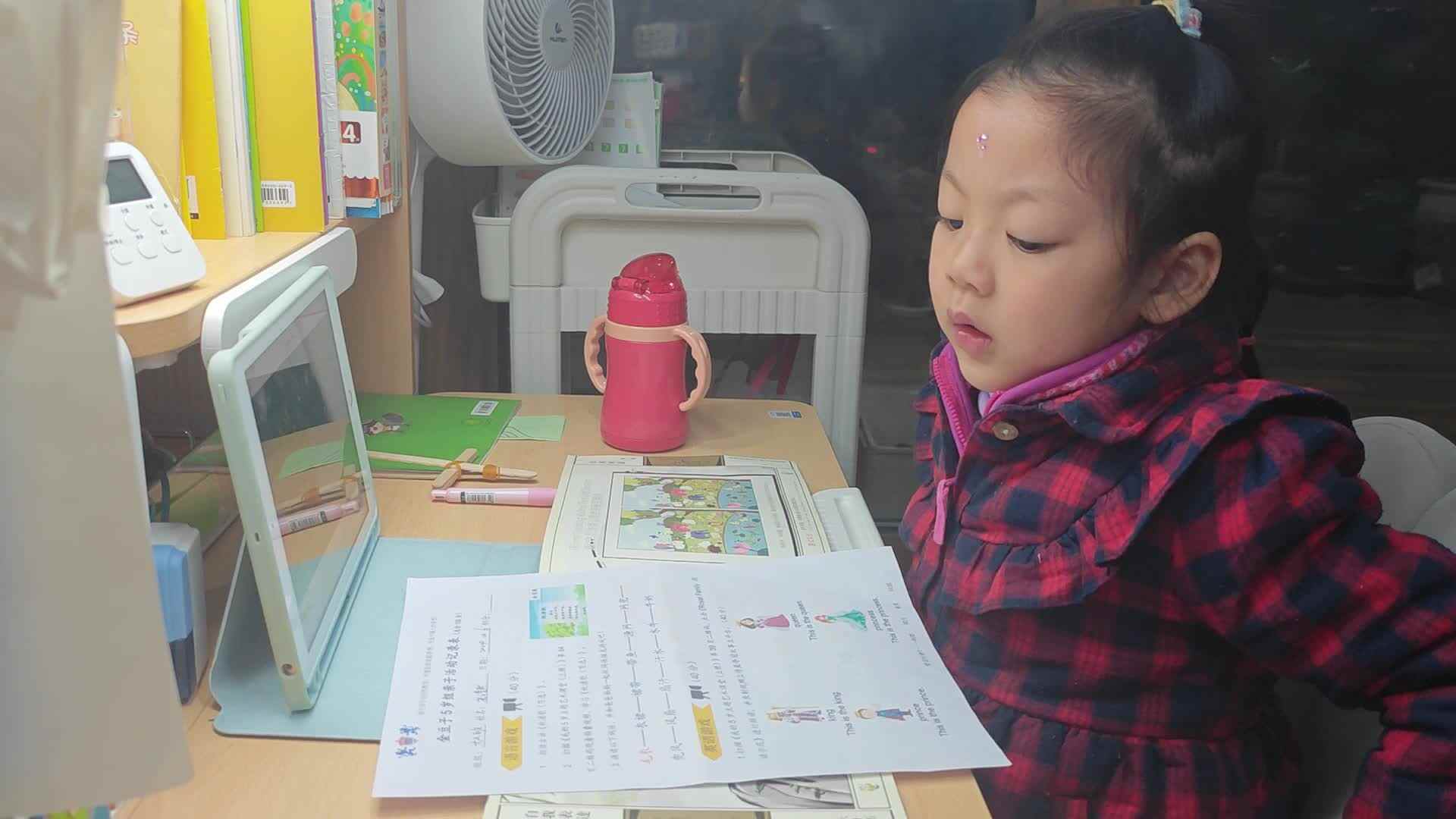 VID_20241206_201827.mp4