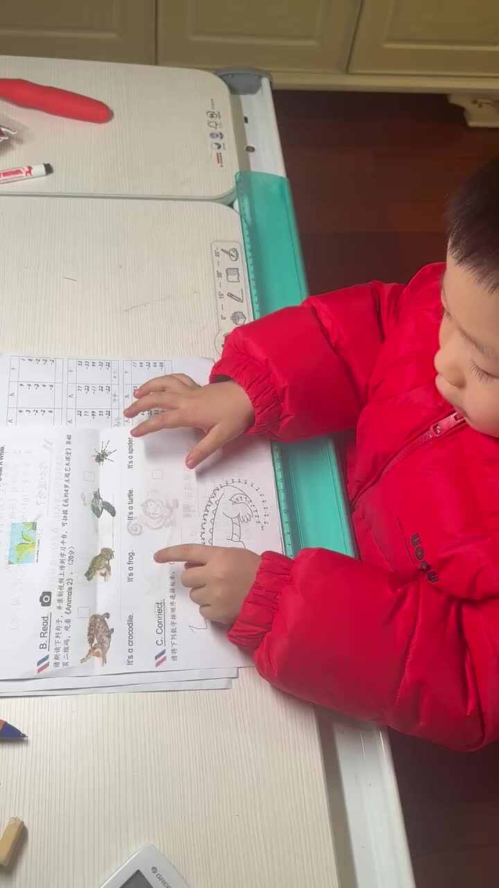 实验中班跳跳2024.12.28