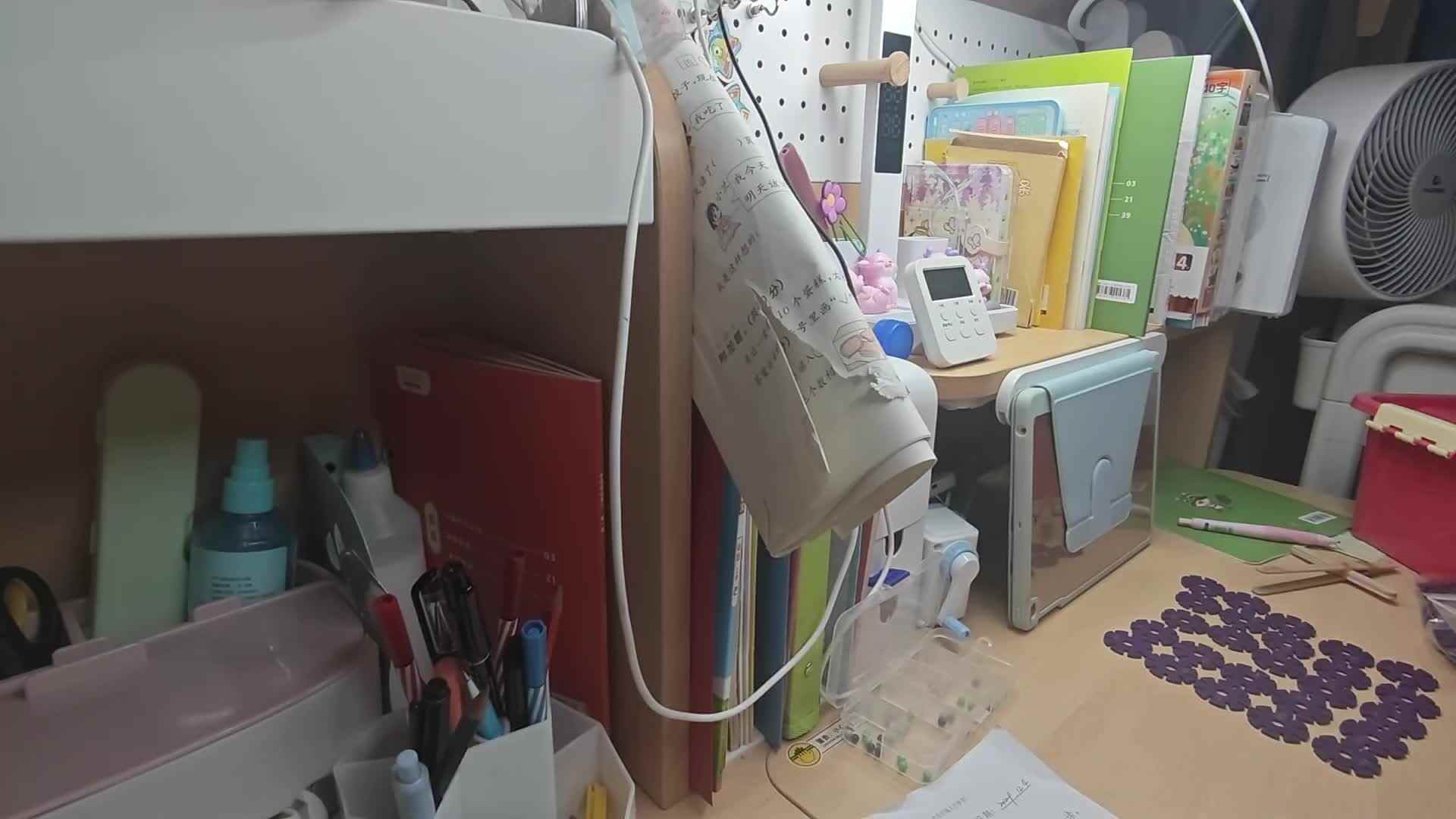 VID_20241204_194830.mp4