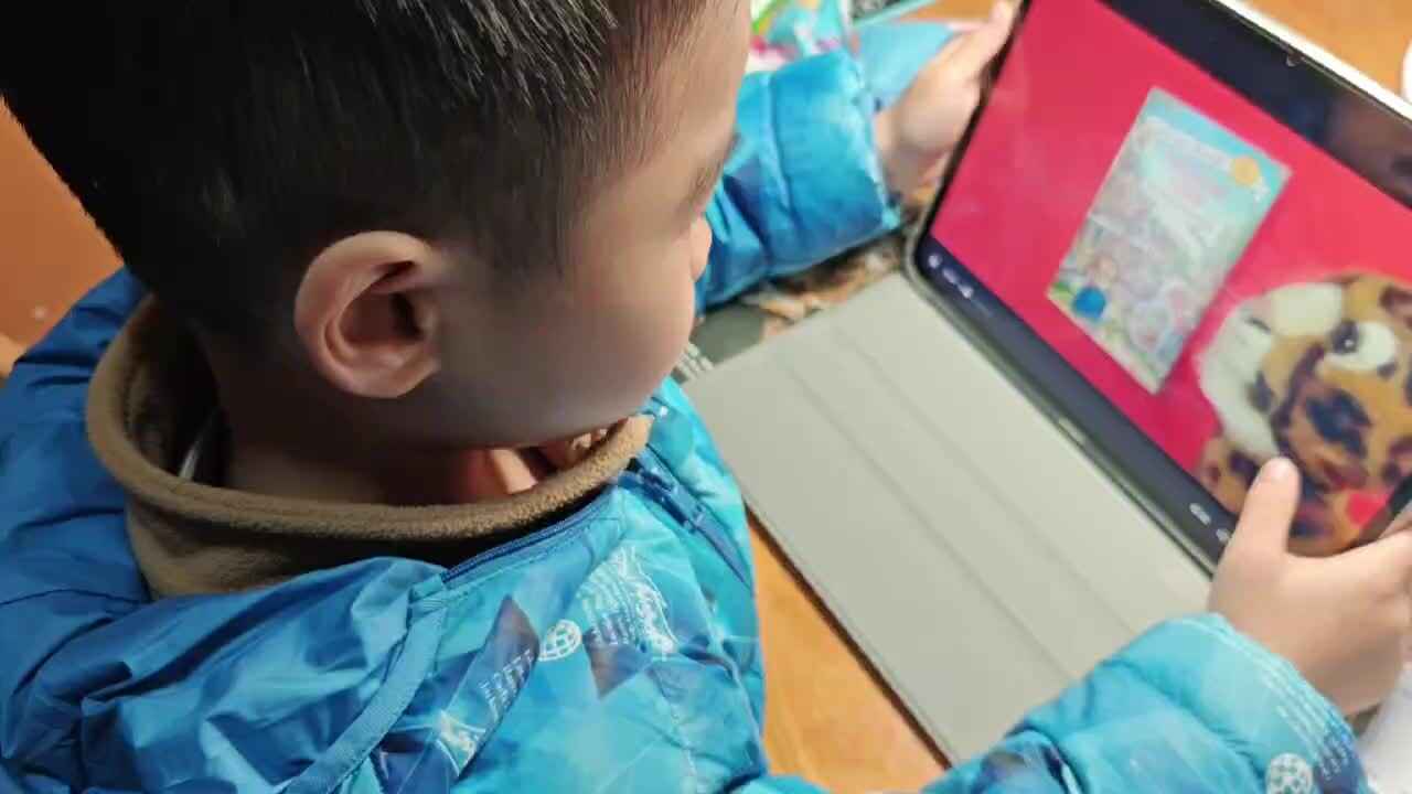 mmexport1734148291576.mp4