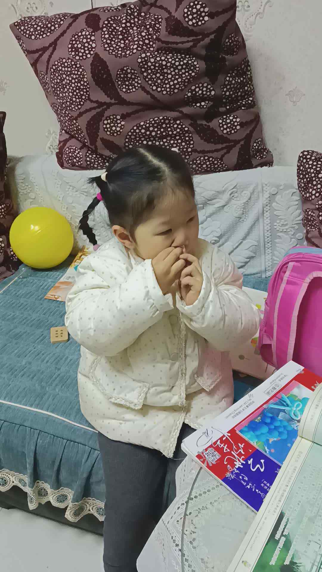 VID_20241212_201621.mp4