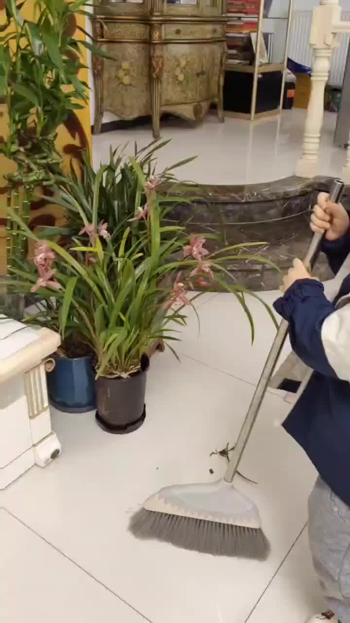 实验中班跳跳2024.12.10