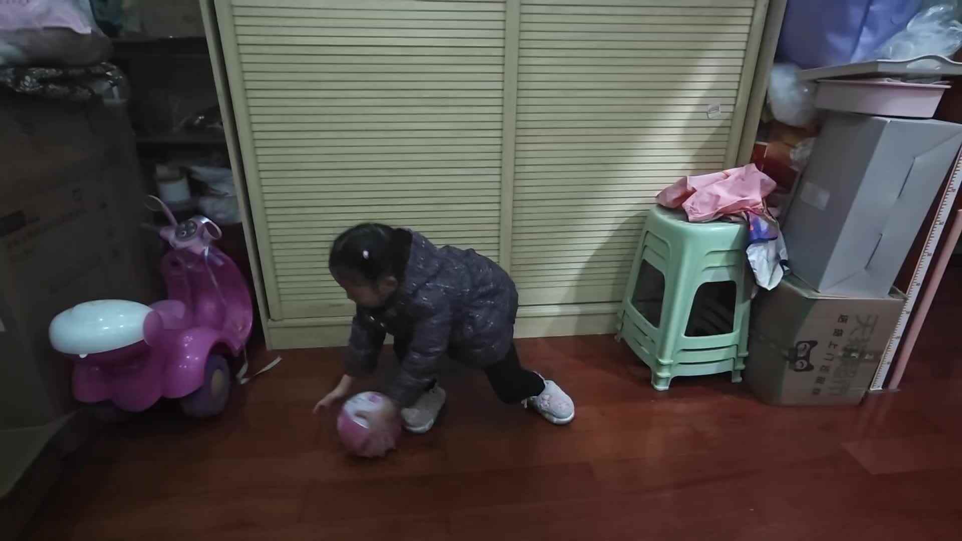 VID_20241212_210546.mp4