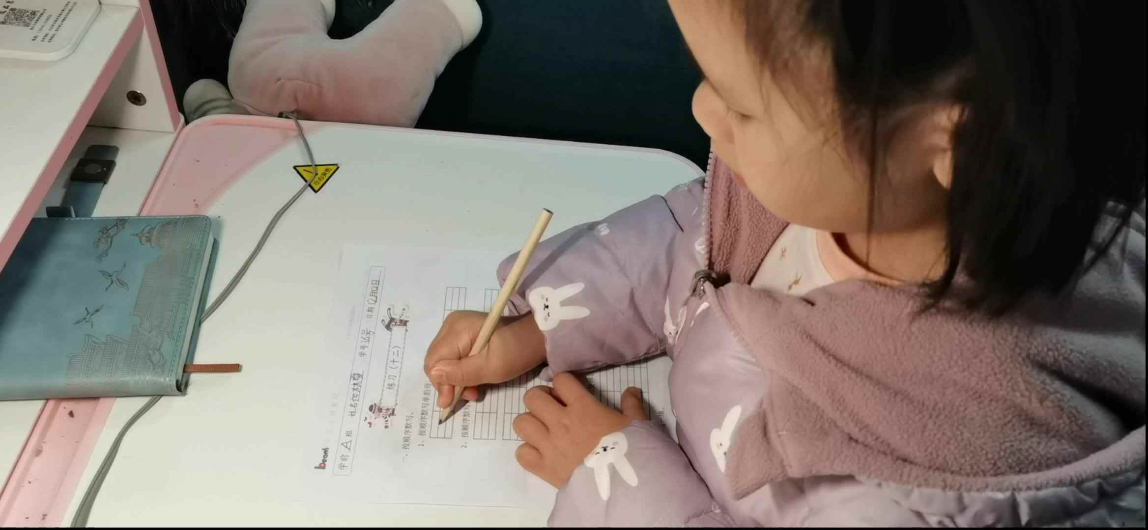 拼音作业复习