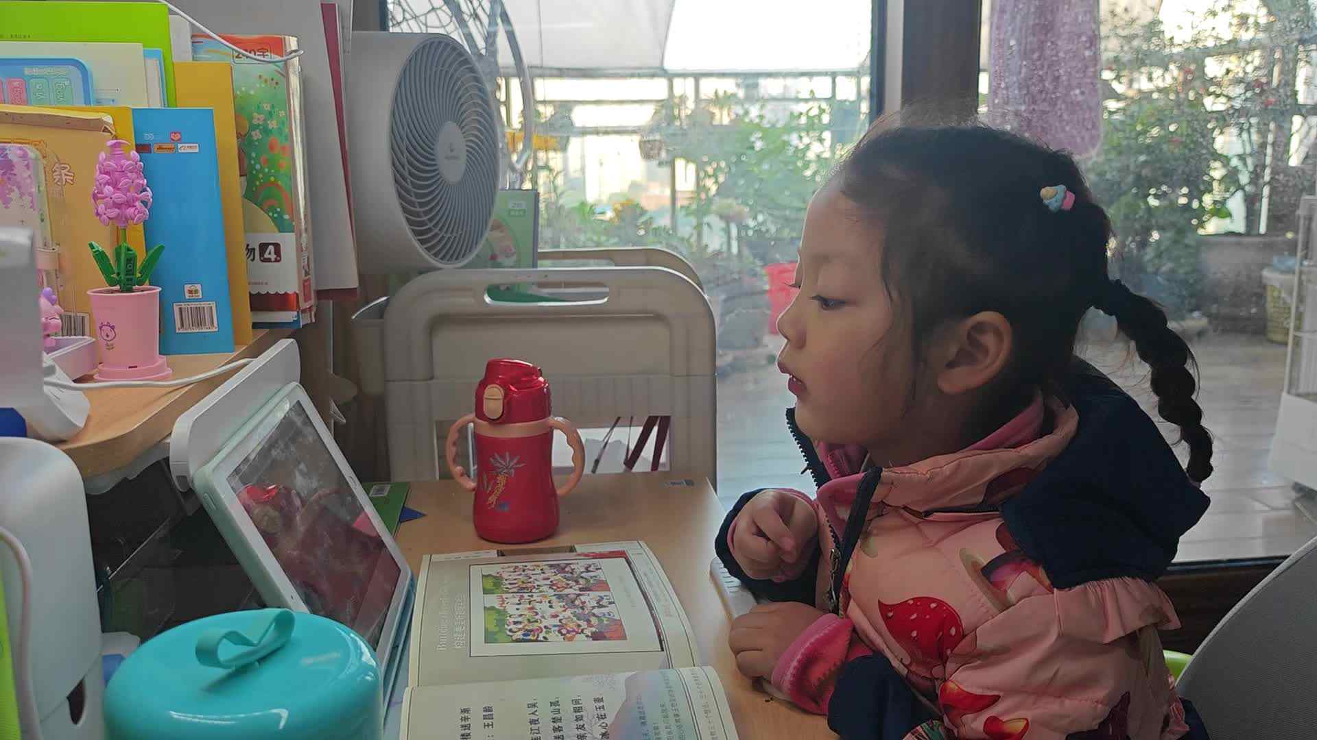 VID_20241215_150148.mp4
