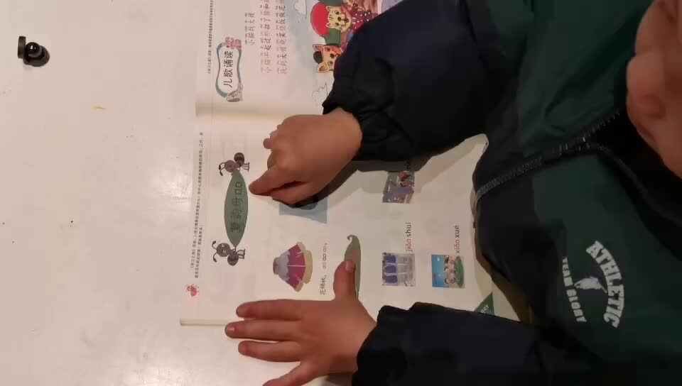 拼音复习