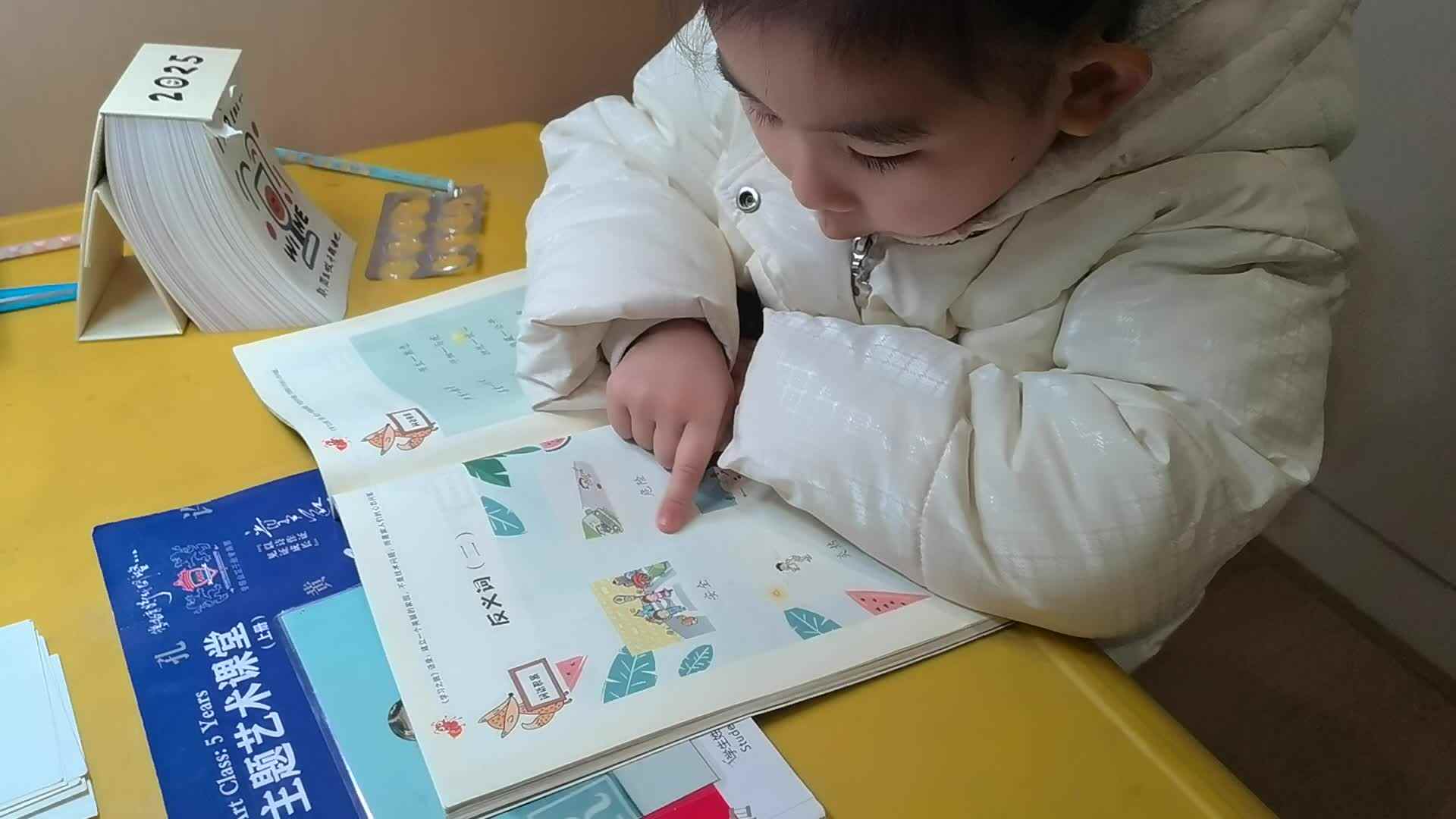 大A班许久20250109—正反义词.mp4