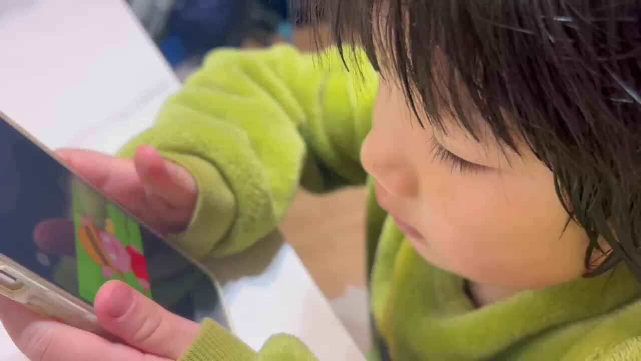 看英语视频《三只小猪》