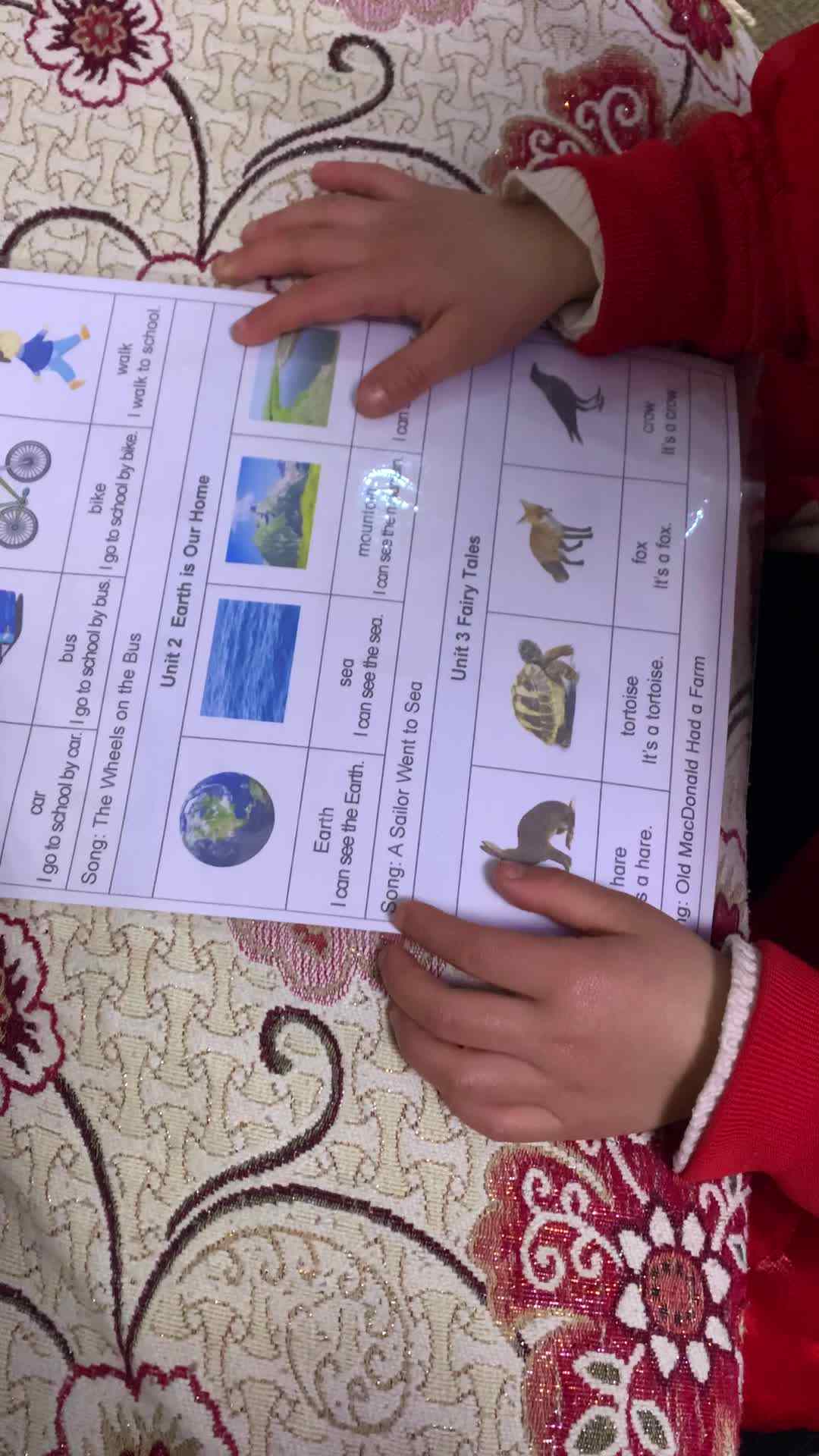 复习英语单词
