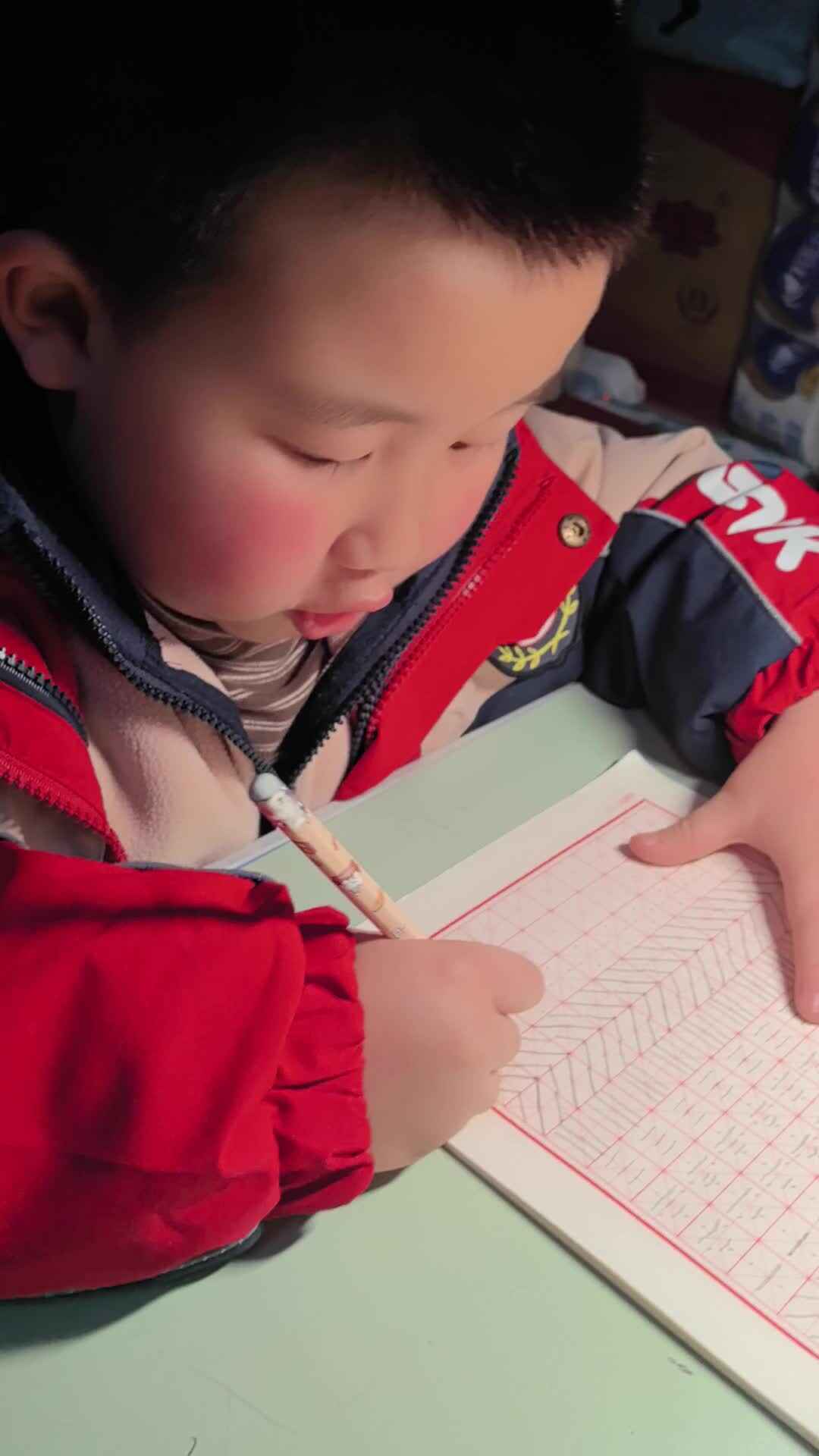 VID_20250225_201520.mp4