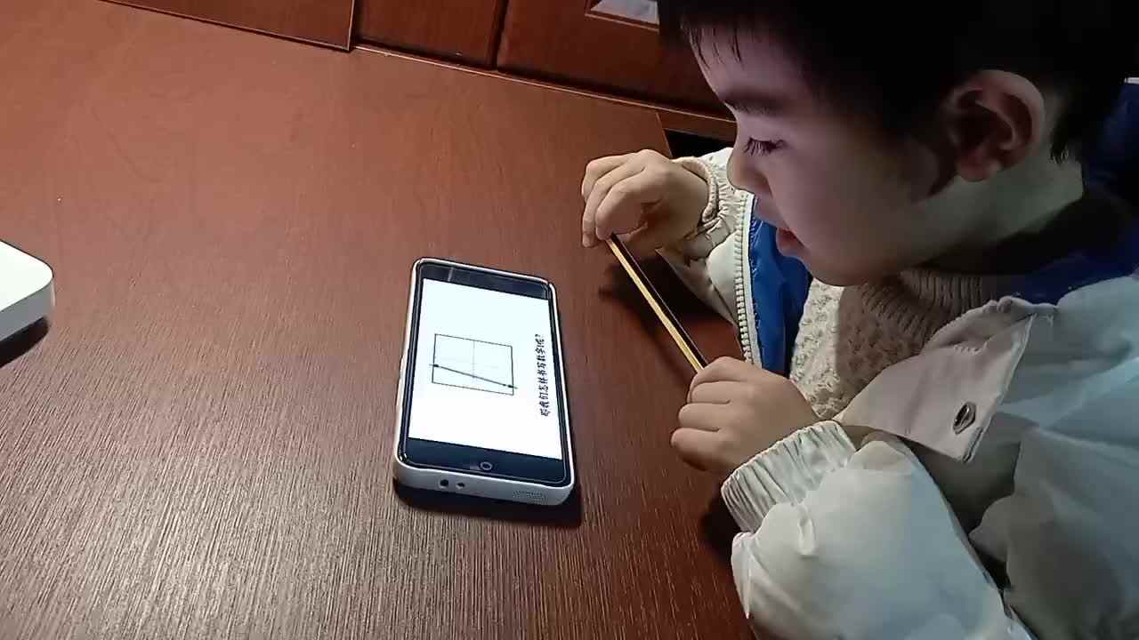大b班刘倬宇看数字1视频.mp4