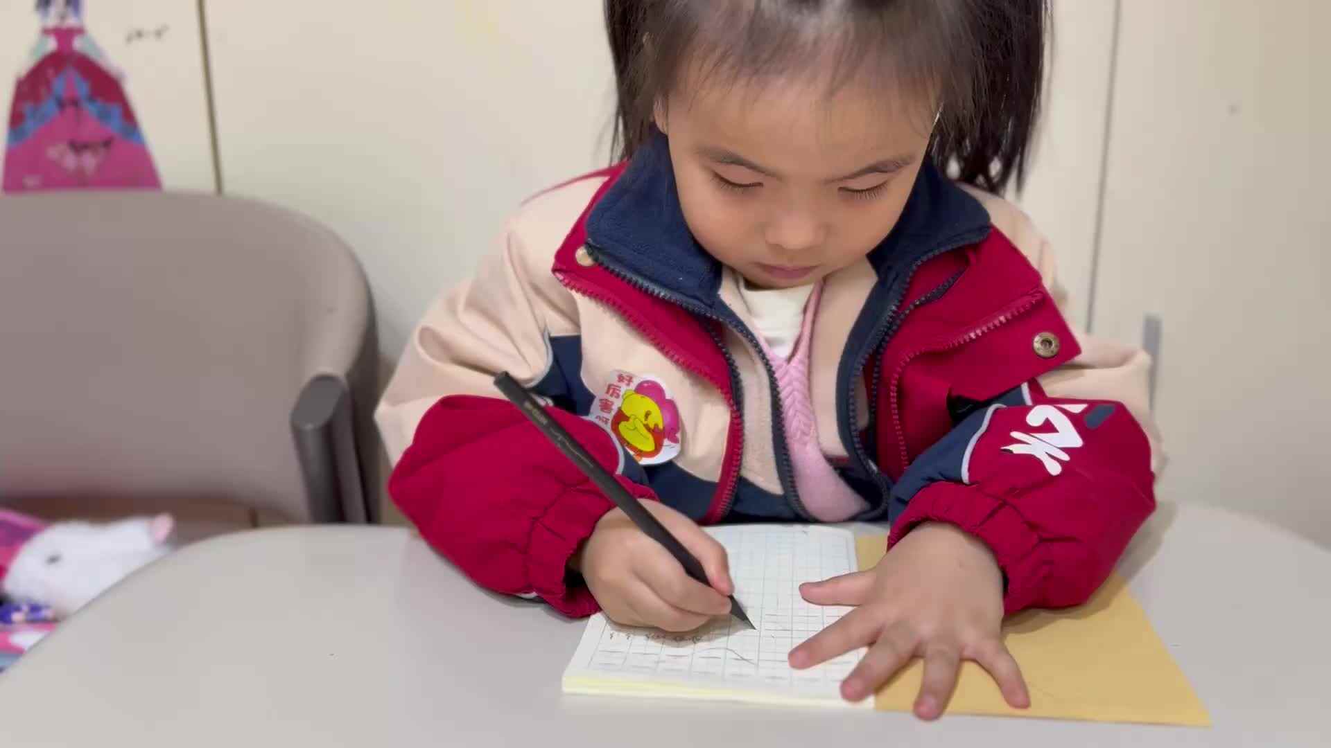 3.3大B班李一乐笔画书写