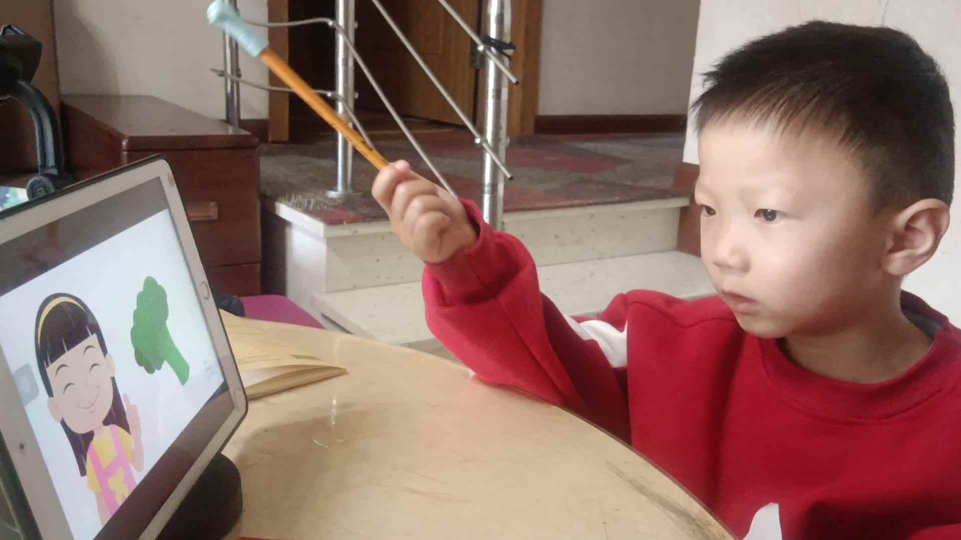 video_20250326_074017.mp4