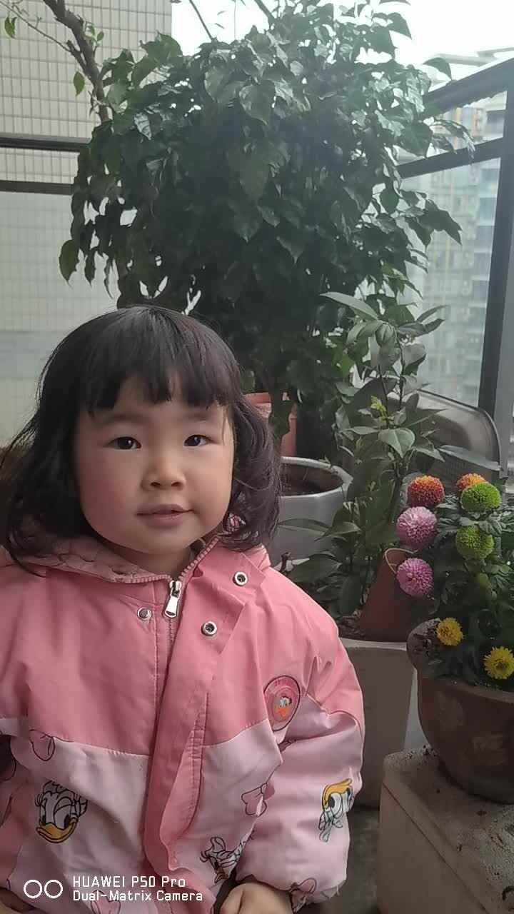 胡可昕闯关练习植树节