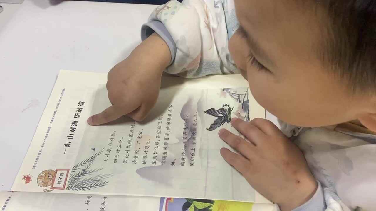 大B班吕子垚指读语言书（一东 山对海 华对嵩）20250306